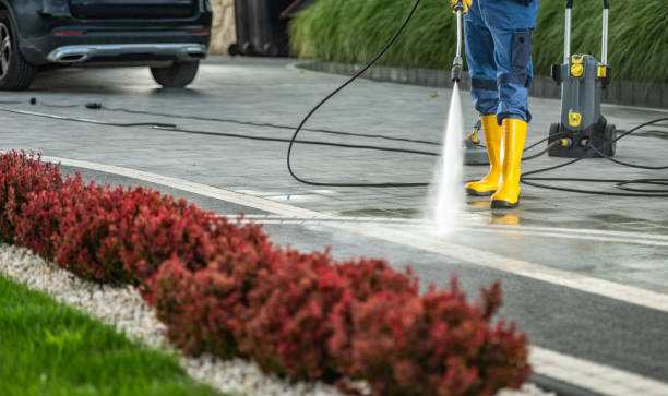 Best Soft Washing for Delicate Surfaces in Corcoran, MN
